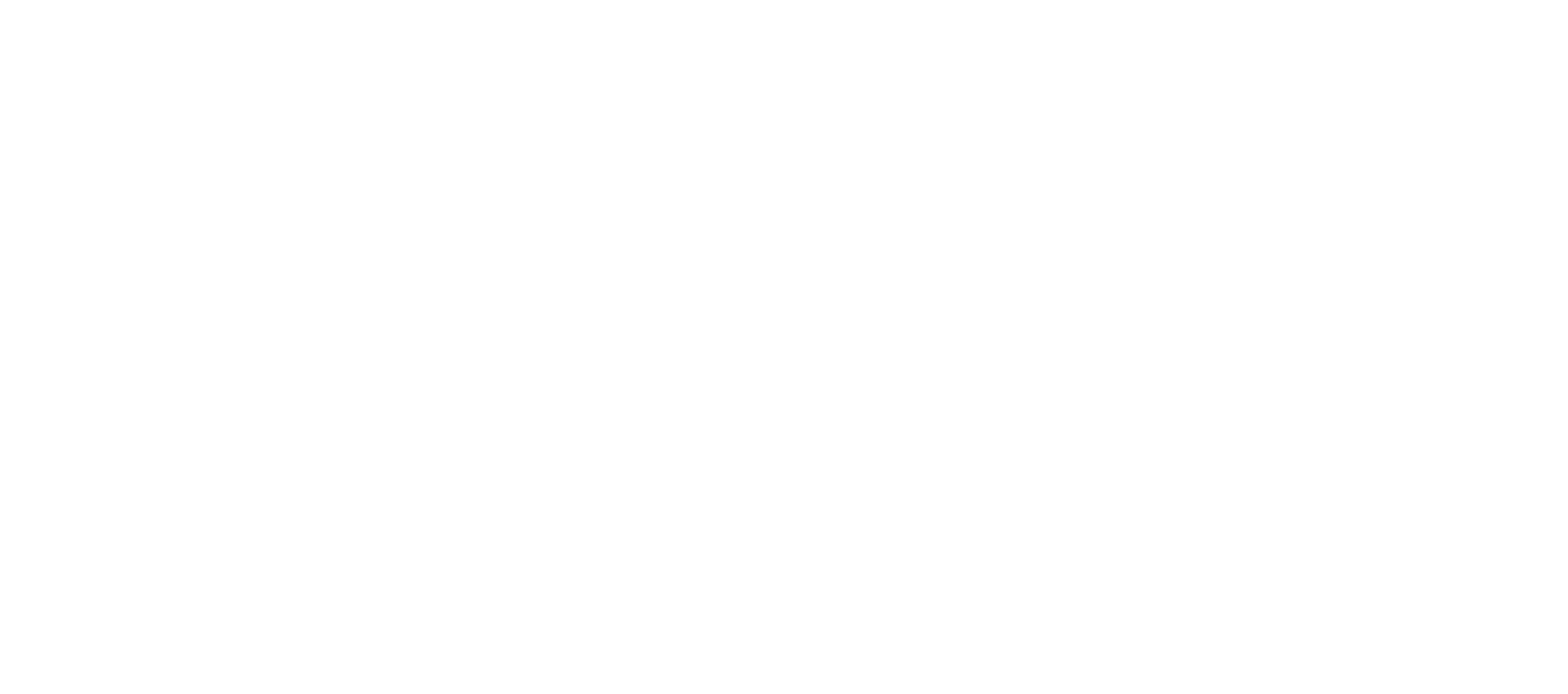 Skidata